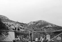 ΦΟΒΙΣΜΕΝΑ ΑΔΕΣΠΟΤΑΚΙΑ ΝΕΑΠΟΛΗΣ: Αν υπάρχει ελπίδα να ξαναγεννηθεί το καταφύγιο, θέλουμε να γίνει σωστά!