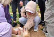 Πόλος ενημέρωσης για τα σχολεία της Αττικής ο ΔΙΚΕΠΑΖ