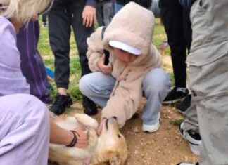 Πόλος ενημέρωσης για τα σχολεία της Αττικής ο ΔΙΚΕΠΑΖ