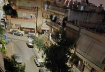 ΚΕΡΑΤΣΙΝΙ: Πτώσεις δέντρων προκάλεσαν σοβαρέςθλικές ζημίες σε σπίτια και αυτοκίνητα