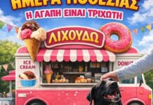 Φοβισμένα αδεσποτάκια Νεάπολης: ΗΜΕΡΑ ΥΙΟΘΕΣΙΑΣ