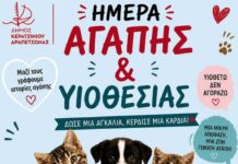 Φιλοζωικό Σωματείο Νίκαιας-Κερατσινίου: Αυτή την Κυριακή σας περιμένουμε όλους!
