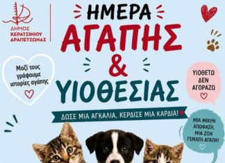 Φιλοζωικό Σωματείο Νίκαιας-Κερατσινίου: Αυτή την Κυριακή σας περιμένουμε όλους!