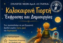 Καλοκαιρινή γιορτή του Συλλόγου Νέων ΑμεΑ «Η Γλαύκα»